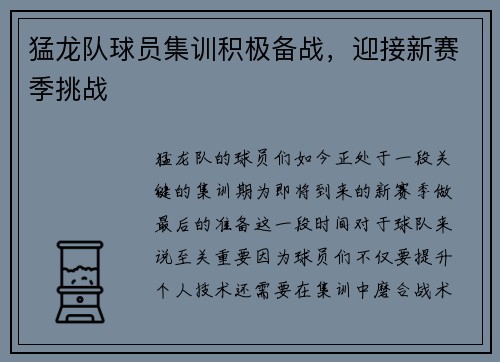 猛龙队球员集训积极备战，迎接新赛季挑战